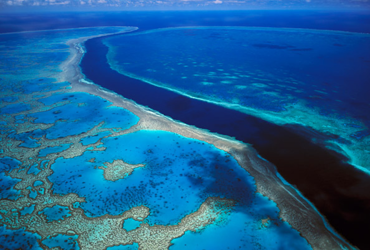 Rite-On Reef scare fake science