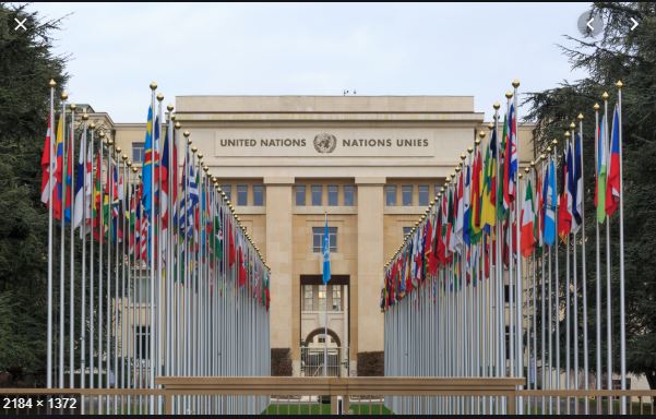 united nations