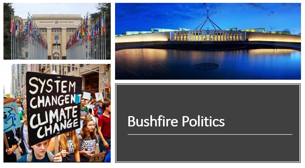 Bush fires and politics