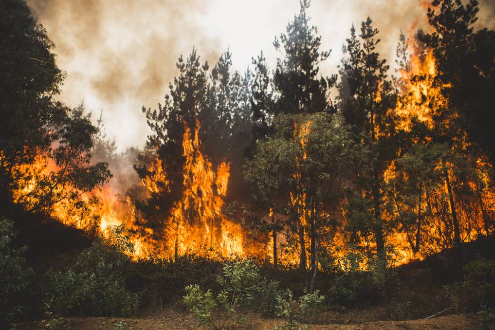 Bushfires Australia