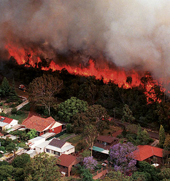 Australian Bushfires