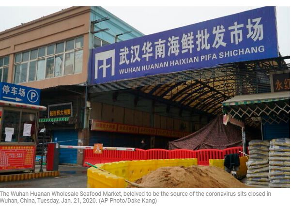 wuhan seafood market